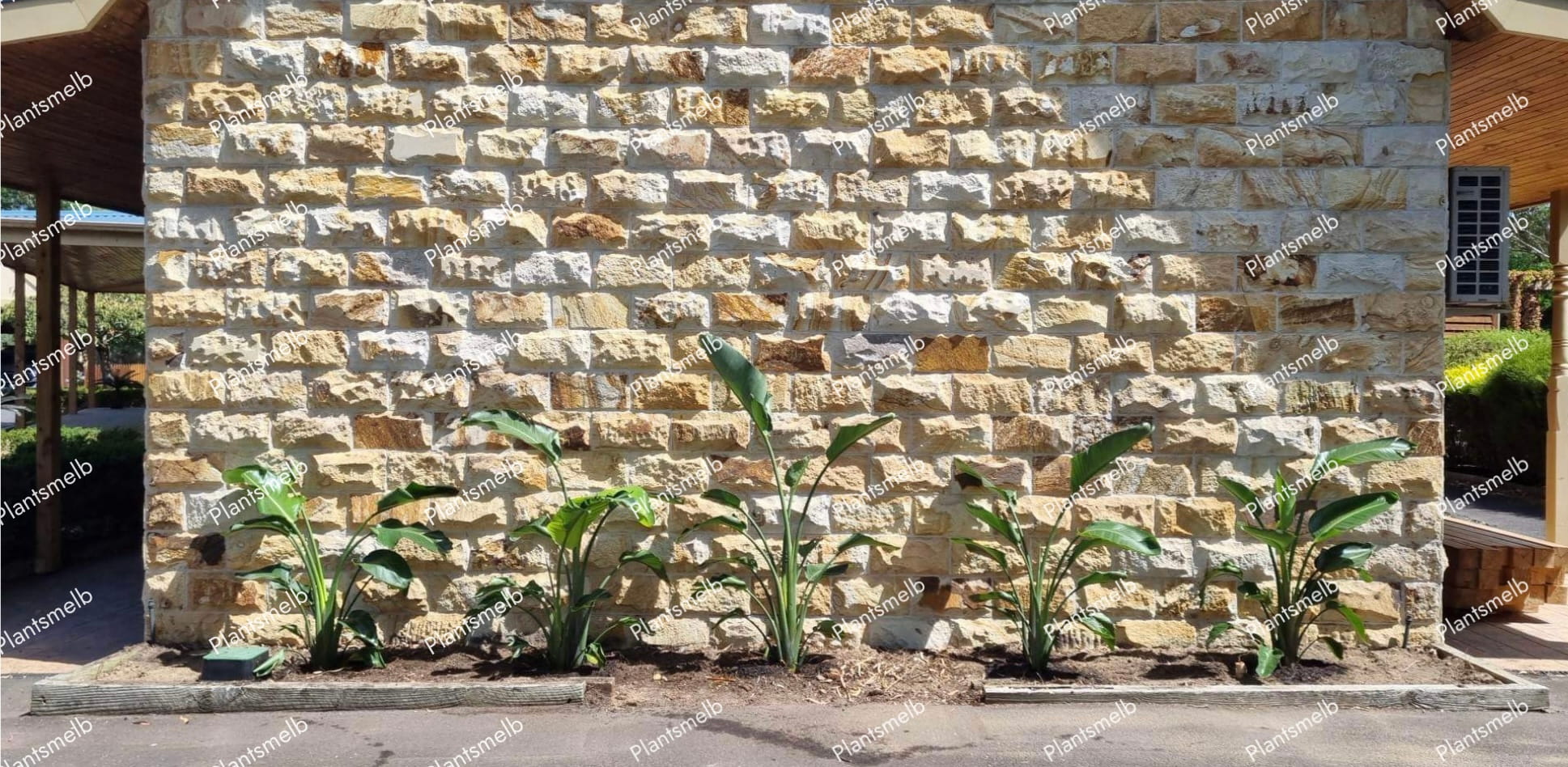 Plants Melb Gallery