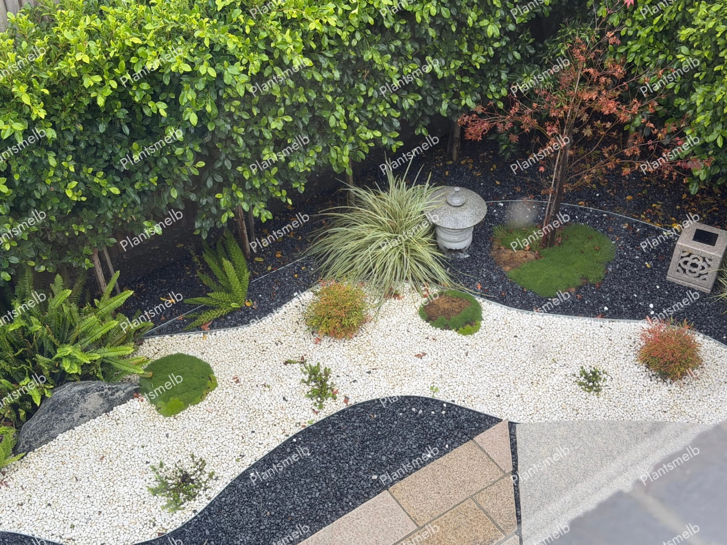 Plants Melb Gallery